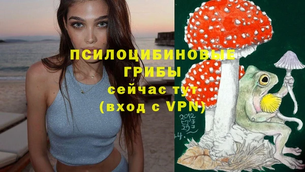 дурь Абдулино