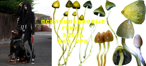 дурь Абдулино