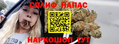 мдпв Кимры