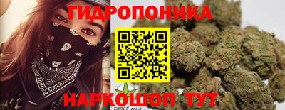 спайс Кинель