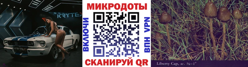 Галлюциногенные грибы Magic Shrooms  нарко площадка наркотические препараты  Рязань 